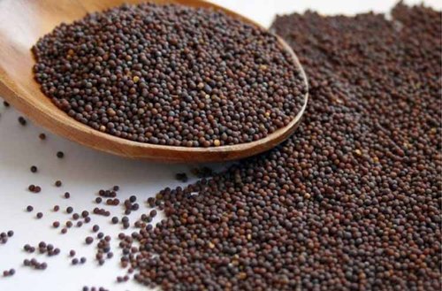 mustard-seed-rai-500×500-1