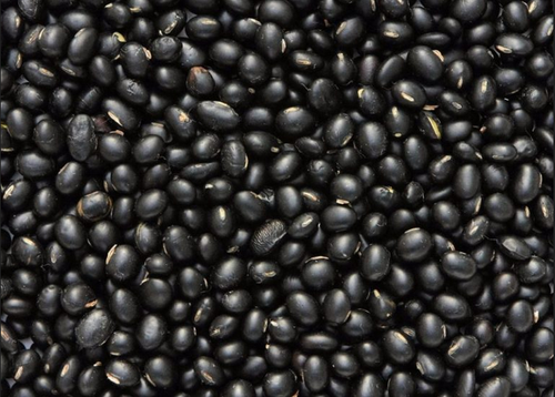 pure-organic-pahadi-black-soyabean-kala-bhatt-500gm-500×500-1